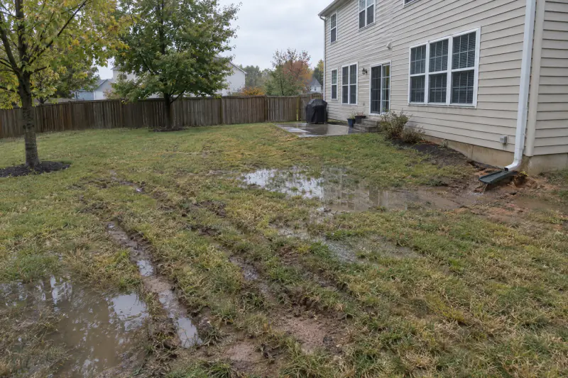 Flat backyard lawn with standing water and mower ruts after rain