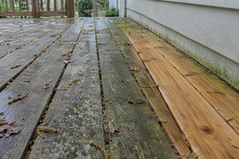 Weathered pressure-treated deck boards with gray mildew and green algae film beside a freshly cleaned section