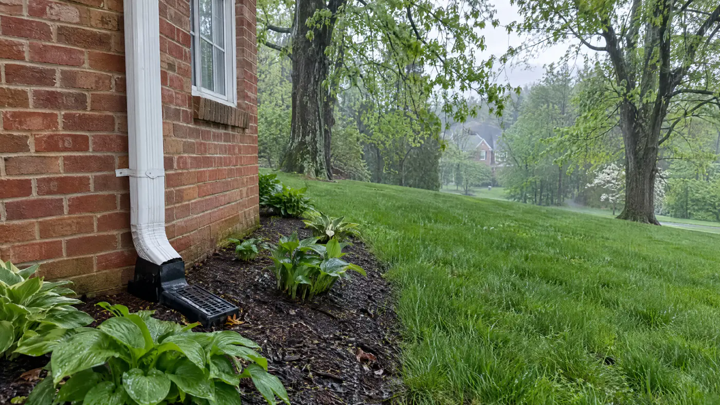 Downspout on a brick Northern Virginia colonial entering a buried drain adapter at grade during a spring rain