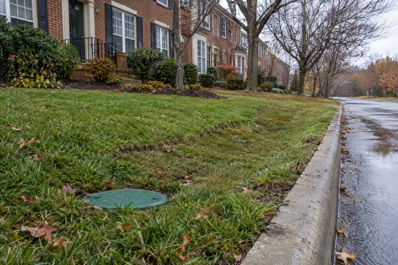 Pop-up drainage emitter and buried pipe outlet at the edge of a Northern Virginia lawn near the street