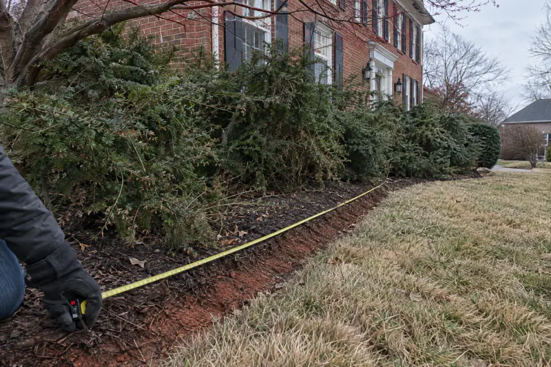Designer measuring a front yard bed line with a tape beside a brick colonial on a winter morning