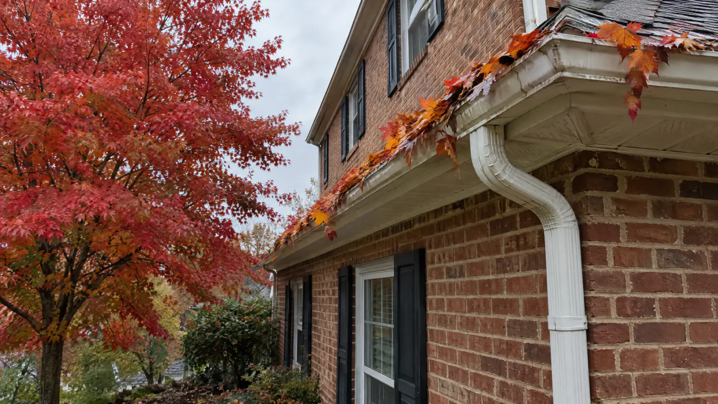 Gutter overflowing with orange maple leaves above a downspout on a brick Northern Virginia home in October