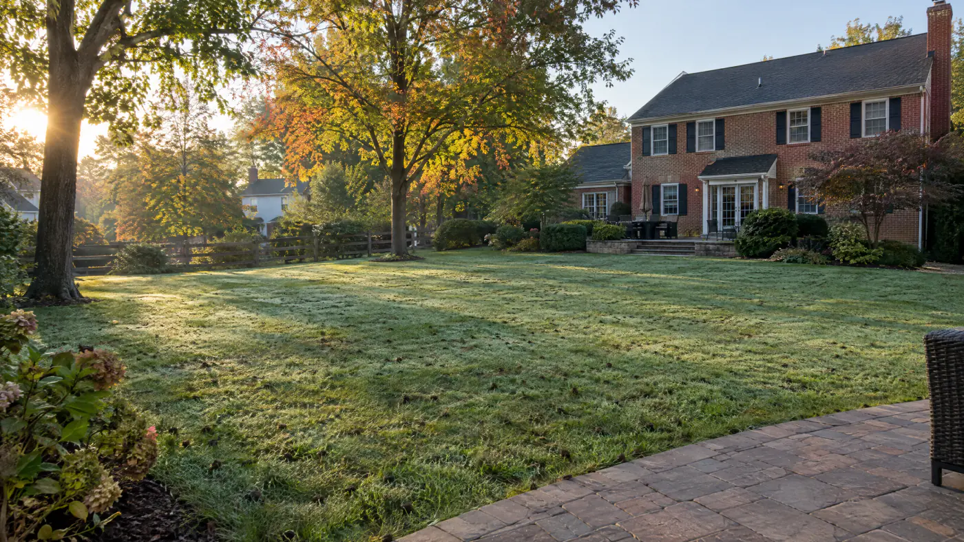 Late September morning in a Northern Virginia backyard with a freshly overseeded tall fescue lawn beside a brick colonial