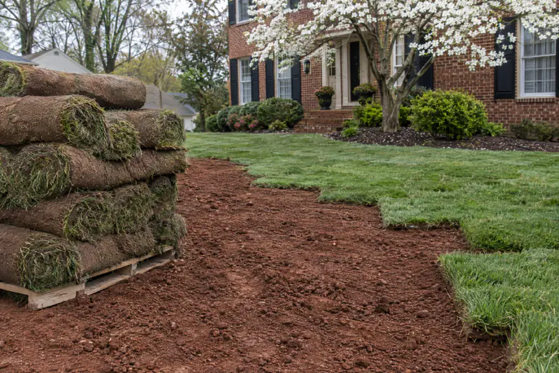 Strips of new tall fescue sod being laid over graded clay soil in a Northern Virginia front yard in spring