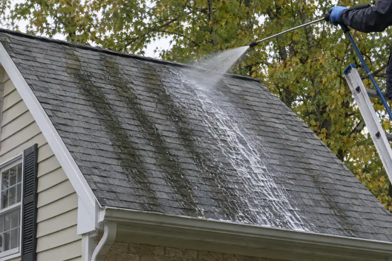 Dark algae streaks running down gray asphalt shingles while a low-pressure wand applies cleaning solution from a ladder