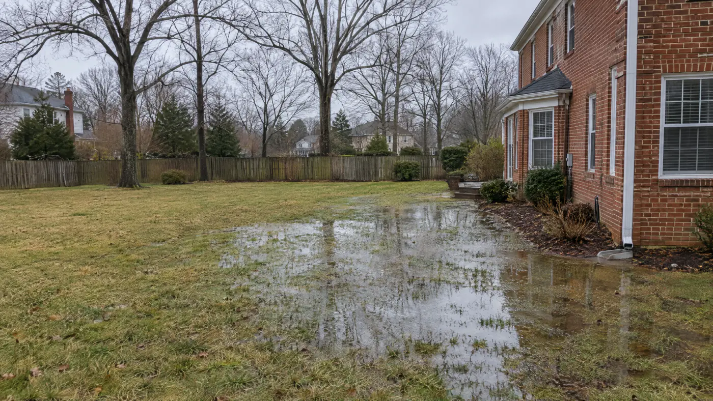 Standing water on a clay lawn behind a brick colonial in a Northern Virginia backyard after a January rain