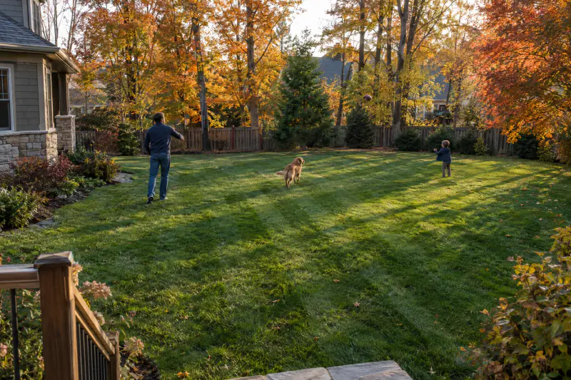 Family playing on a dense fescue lawn in autumn after aeration and overseeding