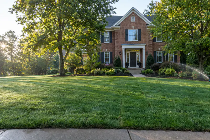 Freshly installed tall fescue sod lawn with morning dew at a brick colonial